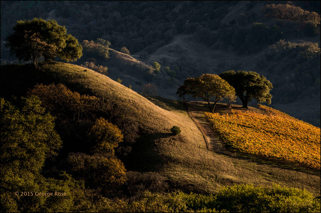 Vinography Images: The Rockpile