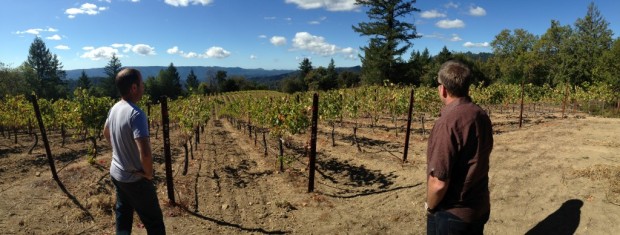 Getting to Know Bordeaux Varieties in the Santa Cruz Mountains: Lexington Wines from Gist Ranch Vineyard