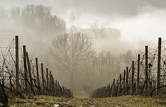 Verso valle, giochi di nebbia