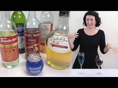 A Real Wine Connoisseur Tastes Shitty Wines! – Tipsy Bartender