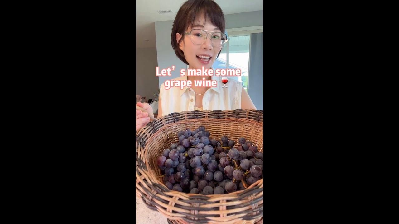 Homemade grape wine ? Let’s make some 2 ingredients grape wine: ? + sugar~