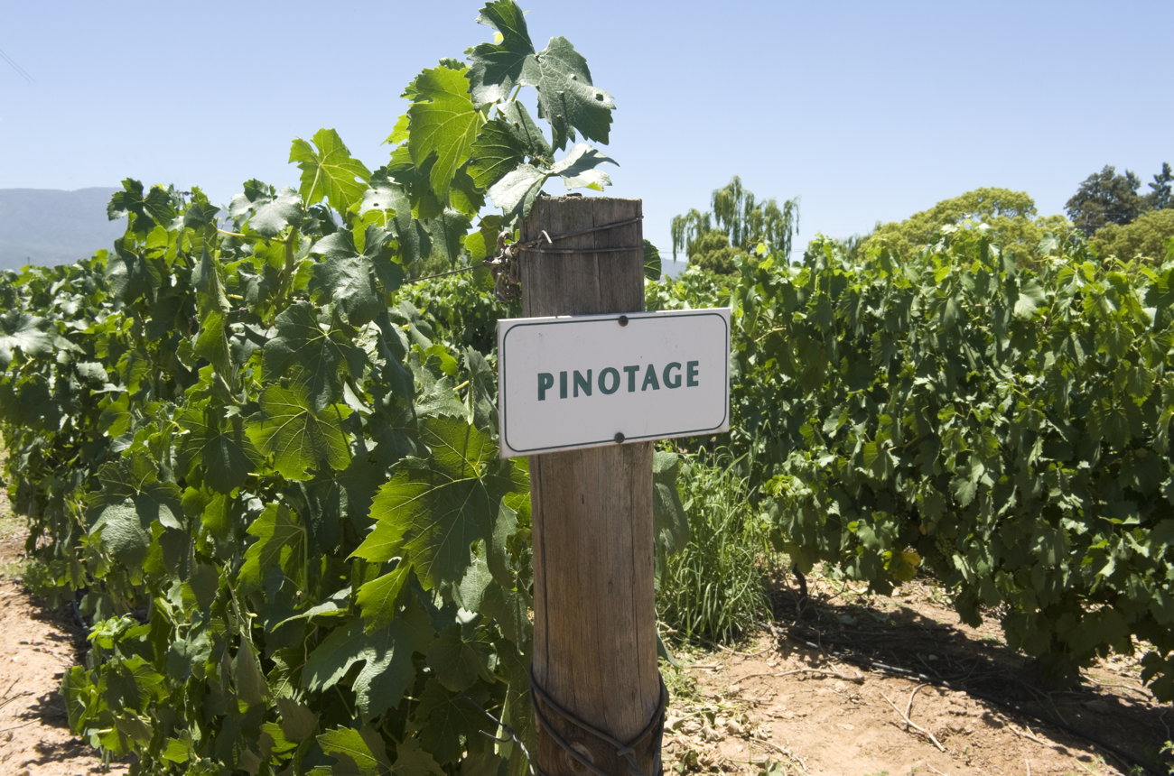 Pinotage 100 years of Pinotage: South Africa’s homegrown grape comes good