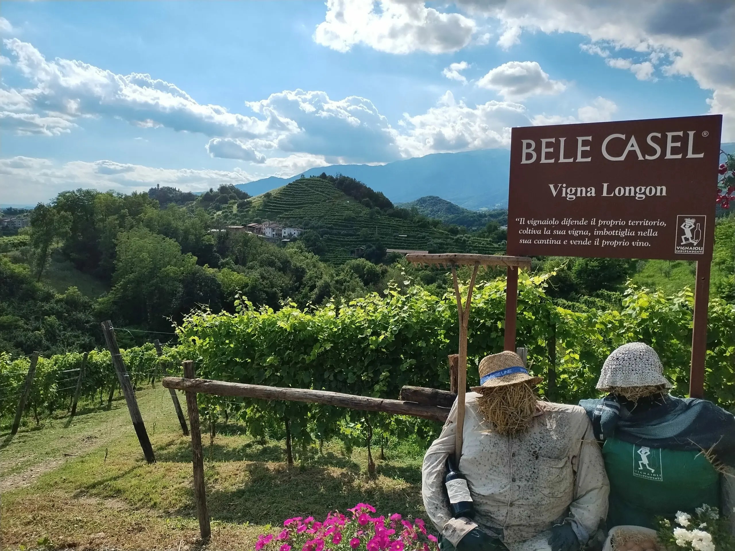 Prosecco, Large and Small (Postcard from Asolo Prosecco, Part 3)