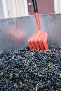 Terroirist: A Daily Wine Blog » Daily Wine News: Shifting Supply